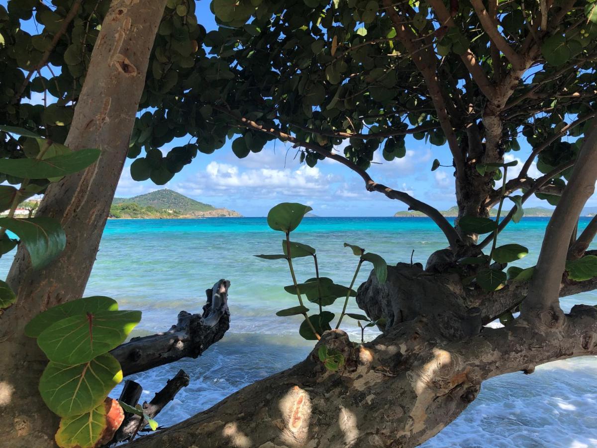Sapphire Beach Villa Ocean And Marina View 拿撒勒 外观 照片